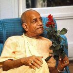 Шрила Прабхупада и розы