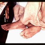 Стопы Шрилы Прабхупады