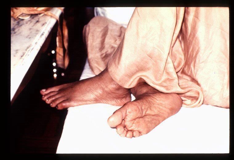 Стопы Шрилы Прабхупады