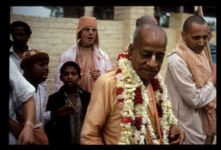 Провидение тут ни при чем