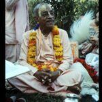 История про Шрилу Прабхупаду "Рецепт тоника"