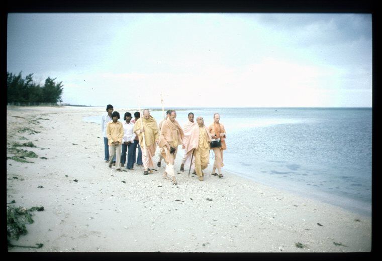 История о Шриле Прабхупаде "Мягкое сердце вайшнава"