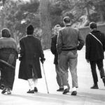 История "Как же их спасти?"