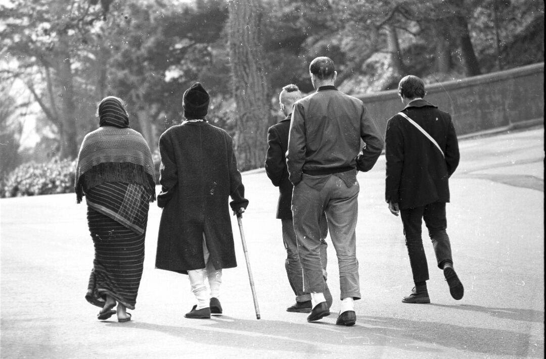 История "Как же их спасти?"